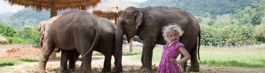 This article will help you choose between Vietnam and Thailand for a family trip