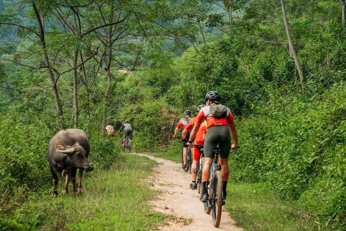 Which are the best routes for cycling in Vietnam?