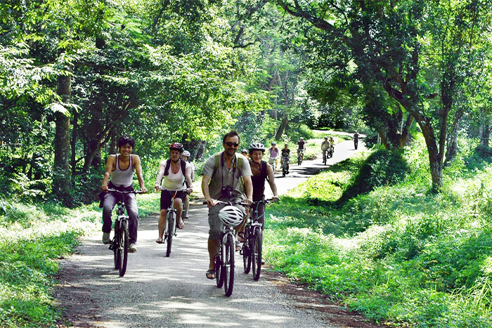 Forest cycling in your Ninh Binh day trip