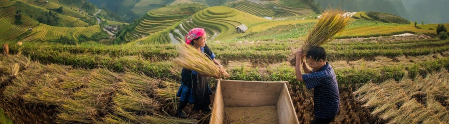 Take Vietnam Laos Cambodia trip 15 days with Mr. Durand