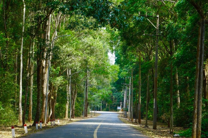 Binh Chau Nature Reserve, a must-visit destination for nature lovers