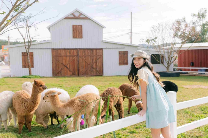 Central Vietnam - Organic Gardens & Charming Craft Villages