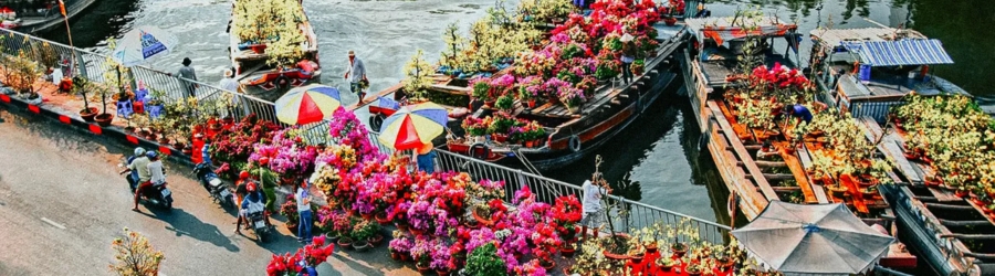 Where to go in Vietnam after Tet?