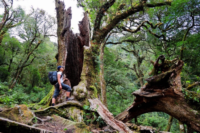 Ta Lien Son stands apart among Vietnam trekking destinations in April
