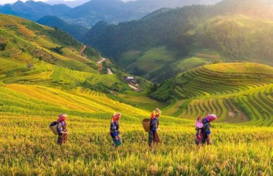 Review Of The Yen Bai Itinerary 2 Days In Northern Vietnam By Mr. Opée