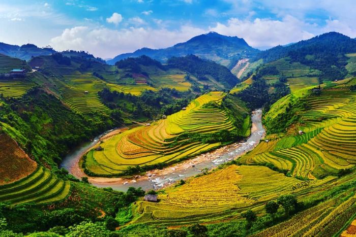 Mu Cang Chai in the golden season - A must-see in 2 days in Yen Bai