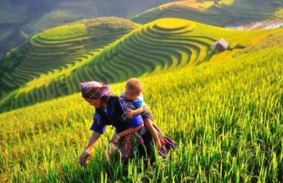 What To Do In Yen Bai Vietnam 3 Days? Itinerary Review By Mr. Mike
