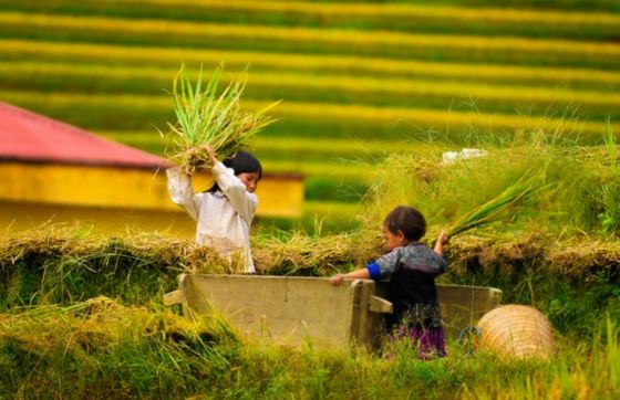 4-day Yen Bai Phu Tho Trip - Must-see In Northern Vietnam
