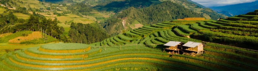 4-day Yen Bai Phu Tho itinerary