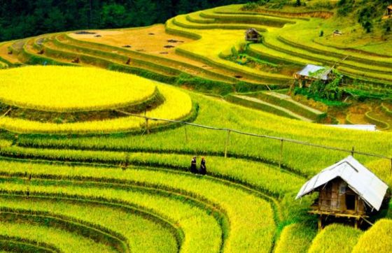 Yen Bai In 5 Days: Northern Vietnam Itinerary Review By Diop Family