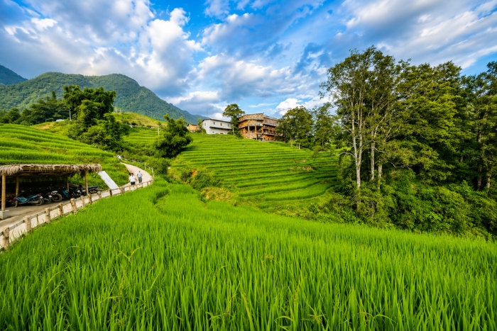 Overview of the Yen Bai Sapa Phu Tho 6 days tour - Must-see stops