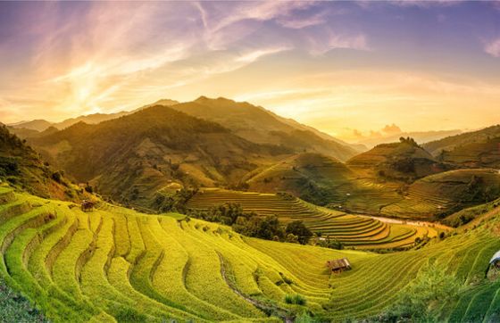 Discover The Charms Of Nghia Lo, Yen Bai: What To Do In Nghia Lo, Viet Nam?