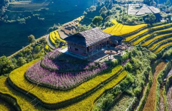 Where To Stay In Mu Cang Chai? Top 6 Best Homestays In Mu Cang Chai