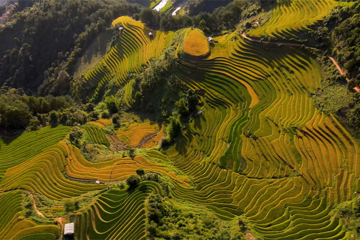 Rice terraces in Mu Cang Chai