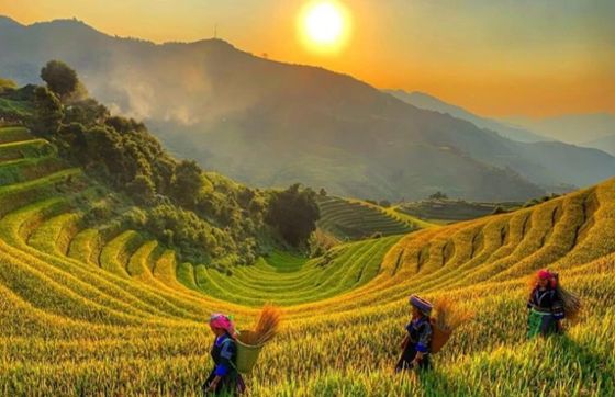 Mu Cang Chai Vietnam: Why To Visit, What To Do, Travel Tips And FAQ