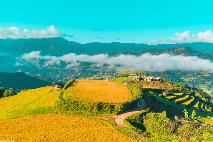 Spectacular terraced rice field landscapes in Mu Cang Chai