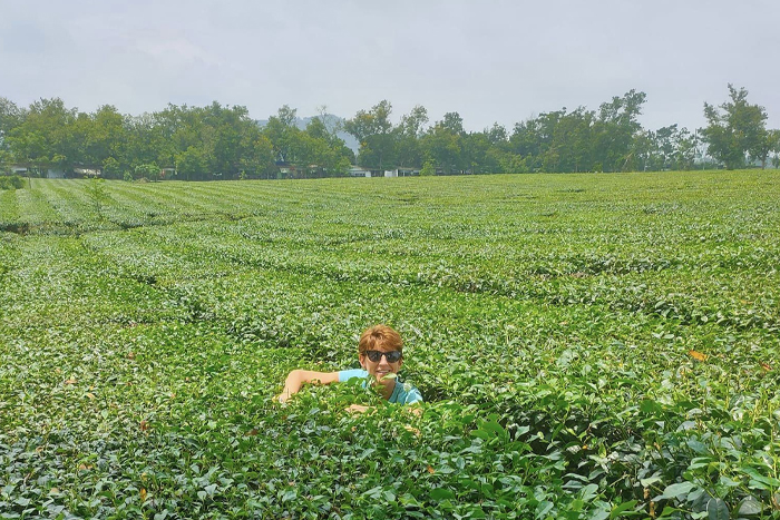 The tea picking experience at Nghia Lo