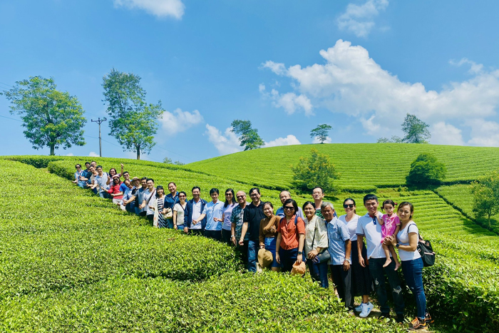 Visit the tea plantations in Nghia Lo Yen Bai