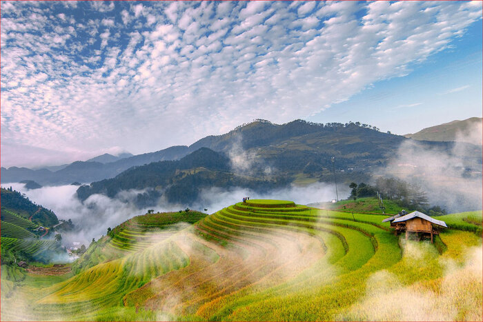 Breathtaking Landscapes in Nghia Lo, Vietnam