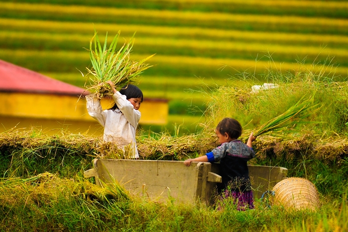 Visit Lim Thai Village in Mu Cang Chai