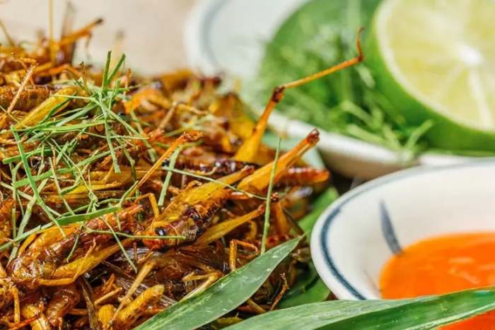 Roasted Grasshopper in Mu Cang Chai