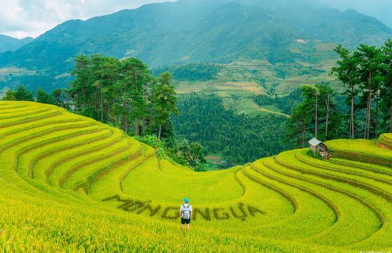 Tu Le Or Mu Cang Chai? Where Is The Best Choice For Your Trip To Yen Bai?