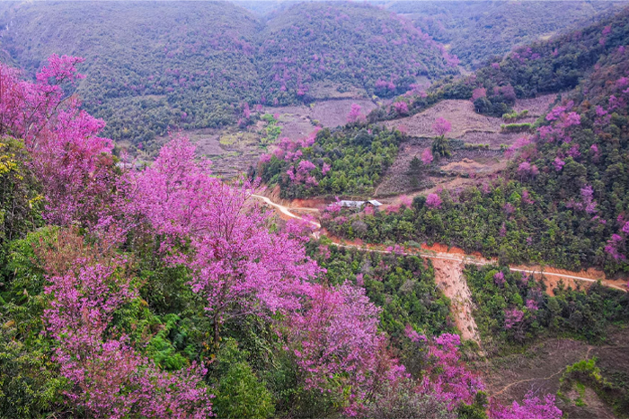 Getting to Tu Le and Mu Cang Chai