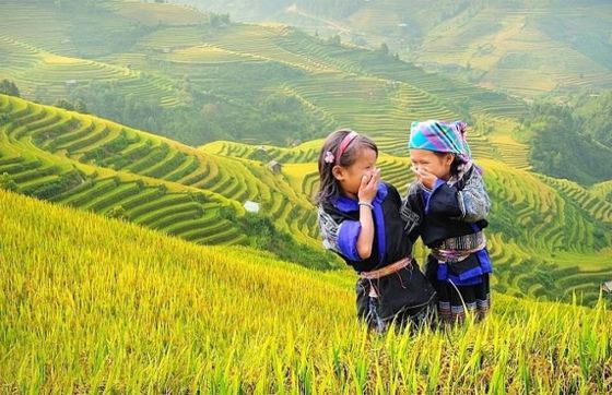 Tu Le Valley Vietnam: Why To Visit, What To Do, Travel Guide And FAQ