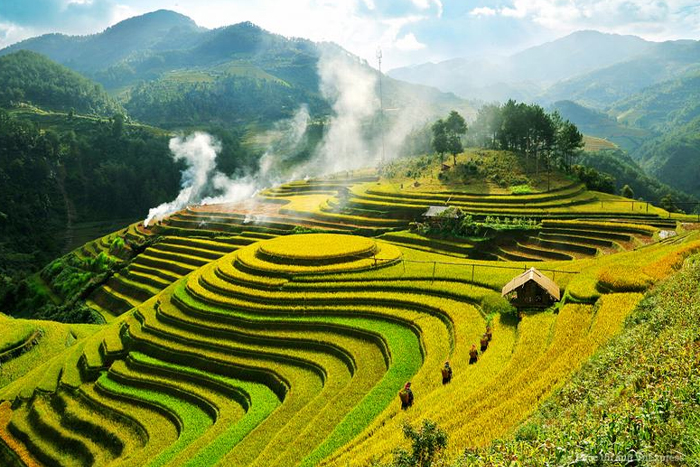 Admire Tu Le rice terraces