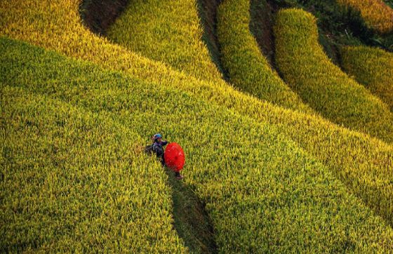 6-Day Itinerary In Yen Bai Lao Cai Lai Chau - Travel Guide By Hubert