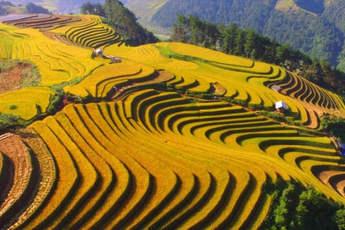 Admire the beauty of Khau Pha Pass