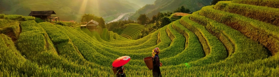 Explore Vietnam's nature on a 6-day Yen Bai Lao Cai tour