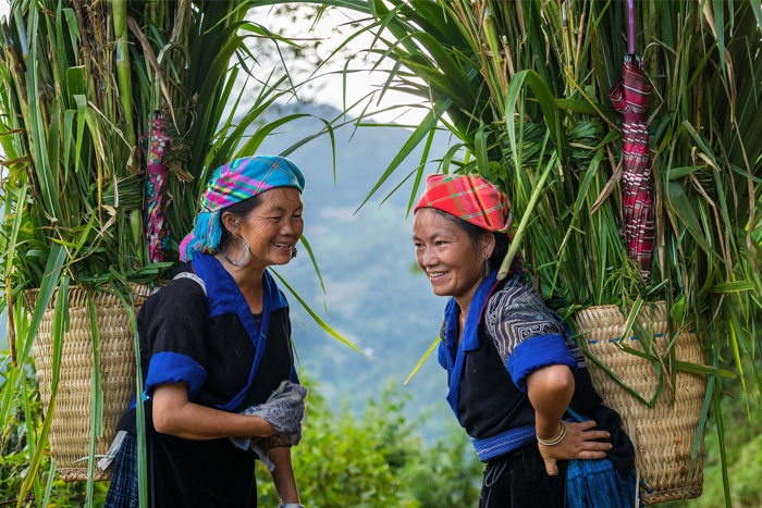 Northern Vietnam in January - Top places to visit in Southeast Asia in January