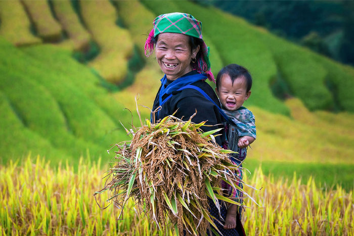 Sample itineraries for South East Asia travel ideas in January