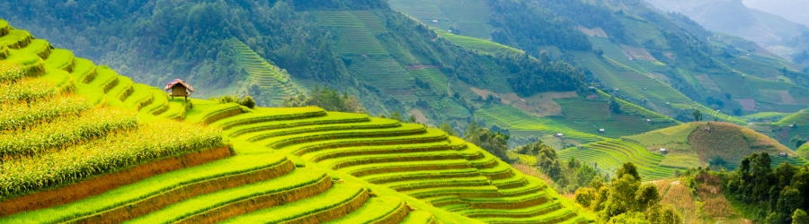 What to do in Vietnam in 21 days? 