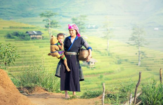 Best Time To Travel To Vietnam And All Useful Information For Preparing Your Vietnam Tour