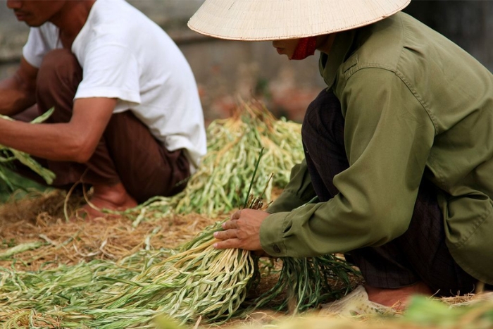 Carefully select raw materials for the hat making process