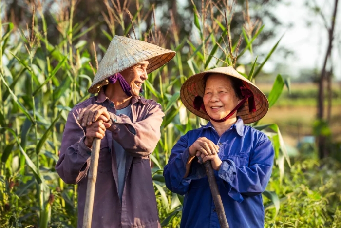 Conical hat - symbol of diligence and hard work of Vietnamese people