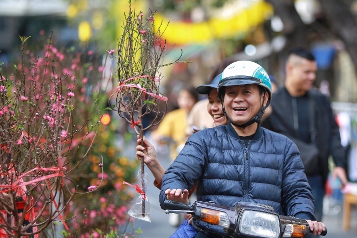 Go to the flower market to buy peach blossoms on Tet holiday