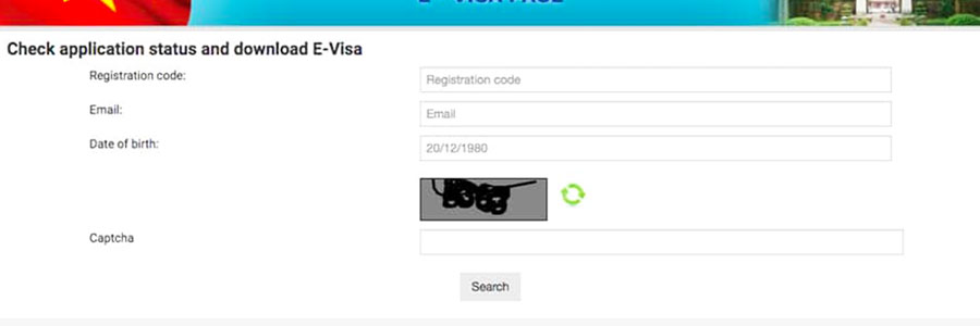 Check the status of your visa and download the visa