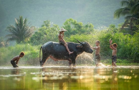Vietnamese Last Name: A Guide To Explore Vietnamese Culture