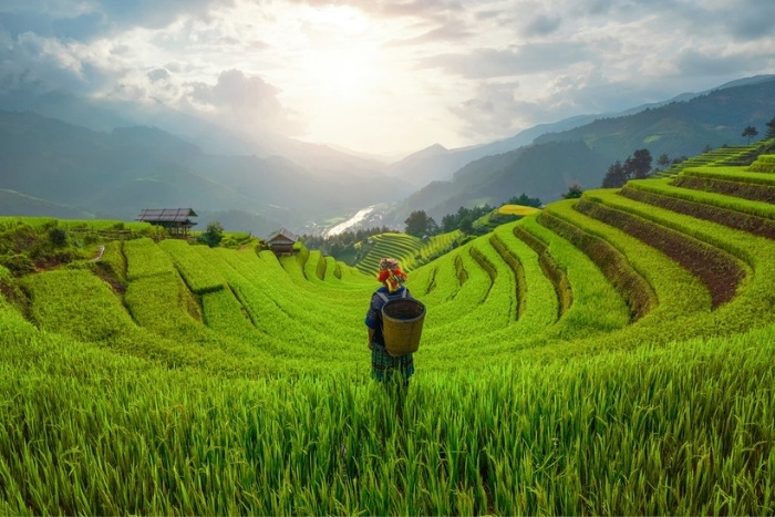Vietnam - best warm countries to visit in March