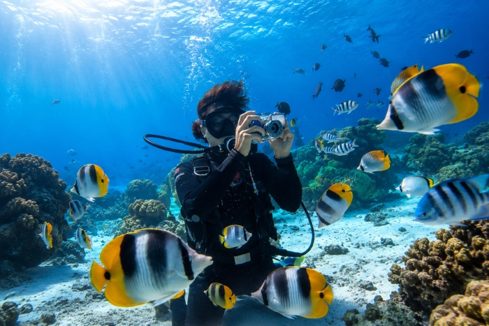 Explore Tioman’s underwater world while diving